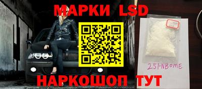 стаф Берёзовский