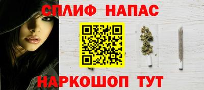 стаф Берёзовский