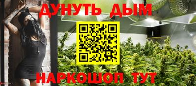 стаф Берёзовский