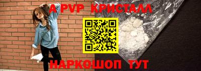 стаф Берёзовский