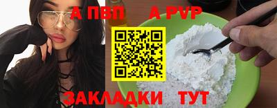 стаф Берёзовский