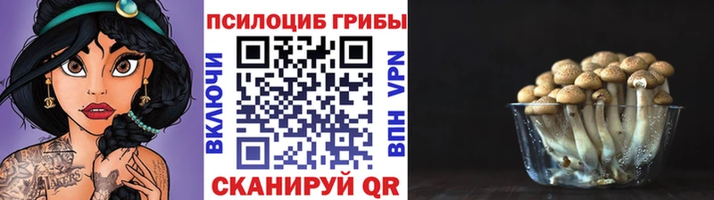 Галлюциногенные грибы прущие грибы  Шадринск 