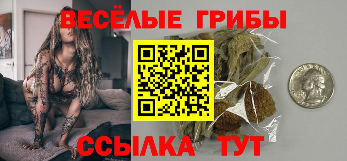 наркота  Псилоцибиновые грибы Cubensis  Вход с VPN  Галлюциногенные грибы Psilocybe  Шадринск 